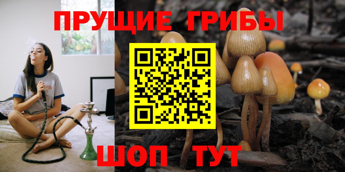 Псилоцибиновые грибы прущие грибы  Вход с VPN  Минусинск 